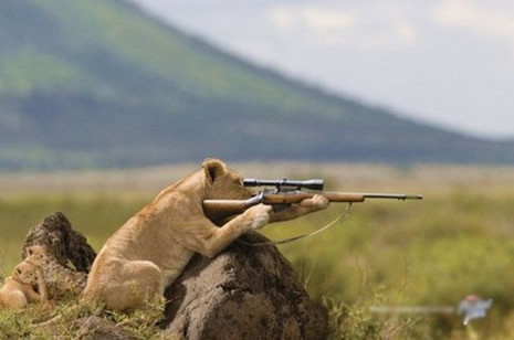 Dünya'nın en komik fotoğrafları galerisi resim 2