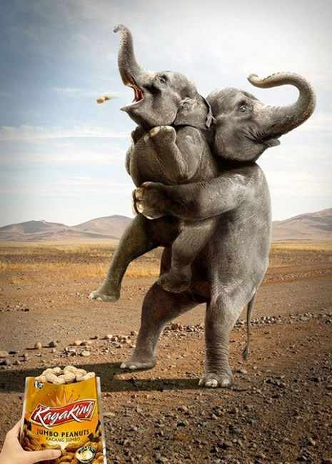 Dünya'nın en komik fotoğrafları galerisi resim 25