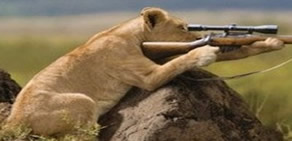 Dünya'nın en komik fotoğrafları