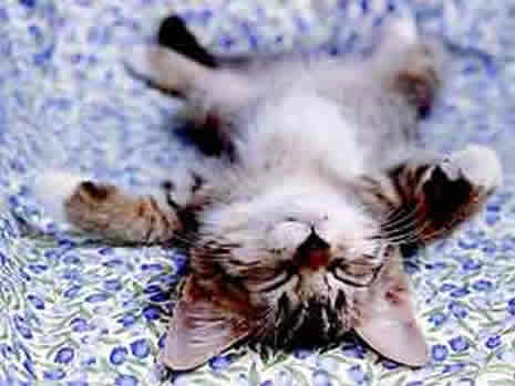 Siz hiç bu kadar yoruldunuz mu?  galerisi resim 5