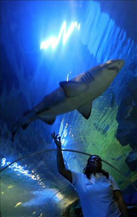 TURKUAZOO BAYRAMPAŞA'DA! galerisi resim 7