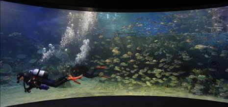 TURKUAZOO BAYRAMPAŞA'DA!