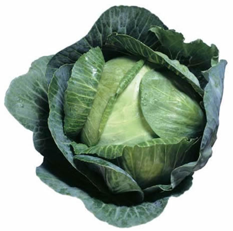 DOMUZ GRİBİNE KESİN ÇÖZÜM galerisi resim 10