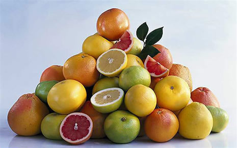 DOMUZ GRİBİNE KESİN ÇÖZÜM galerisi resim 8