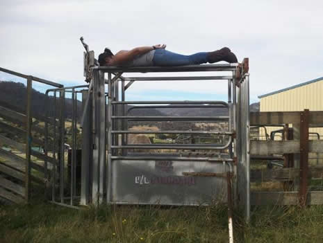 Facebook'u Planking çılgınlığı sardı! galerisi resim 1