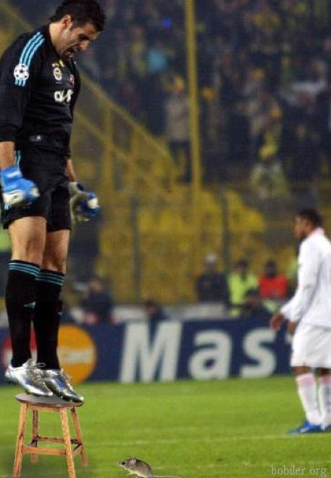 Gülmekten ağlayacağınız en komikler galerisi resim 22