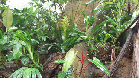 Florya'daki İstanbul Akvaryumundan görüntüler galerisi resim 65