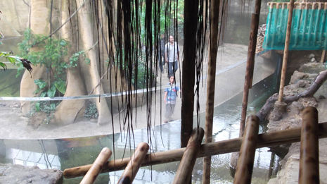 Florya'daki İstanbul Akvaryumundan görüntüler galerisi resim 73