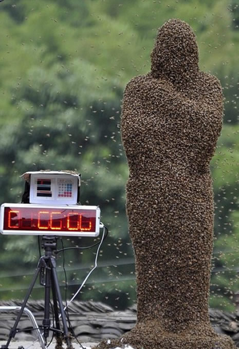 Arı Adam! galerisi resim 5