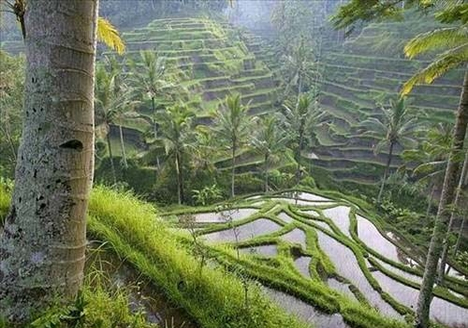 Objektife yansıyan en çarpıcı kareler galerisi resim 12