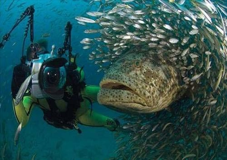 Objektife yansıyan en çarpıcı kareler galerisi resim 8