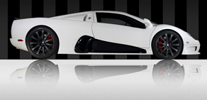 Evrenin en hızlısı