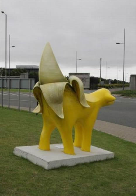 En ilginç görüntüler galerisi resim 23