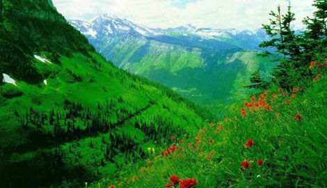 2010'da 3. Dünya Savaşı çıkacak mı? galerisi resim 14