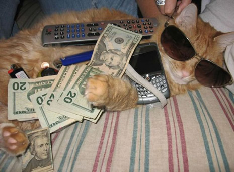 Tehlikeli Temas galerisi resim 15