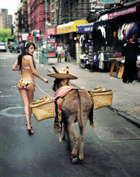 Tehlikeli Temas galerisi resim 16