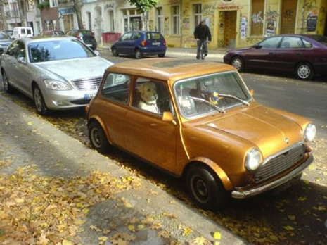 Tehlikeli Temas galerisi resim 6