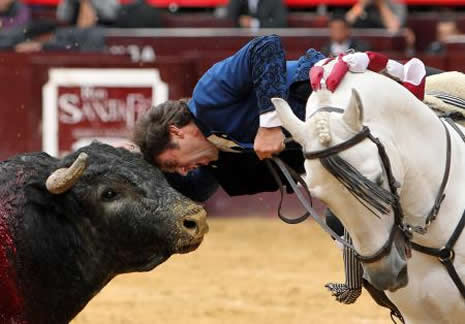 Hayata Dair galerisi resim 1