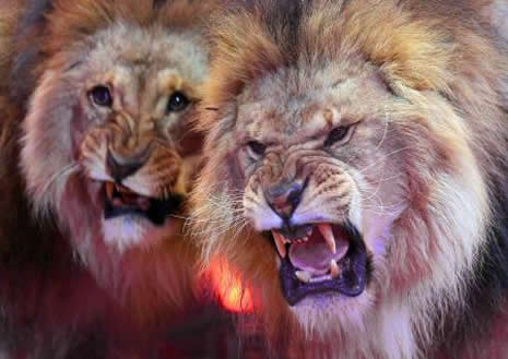 Hayata Dair galerisi resim 13