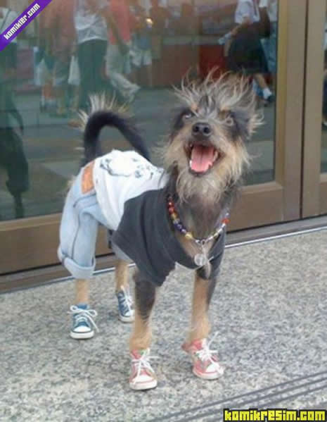 Günün Komikleri galerisi resim 13