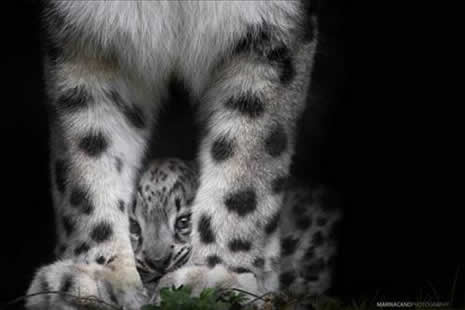 ŞAŞIRTAN FOTOĞRAFLAR galerisi resim 18