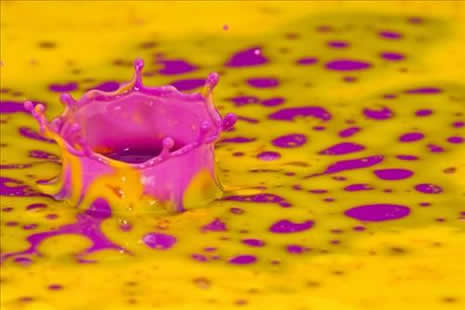 ŞAŞIRTAN FOTOĞRAFLAR galerisi resim 28