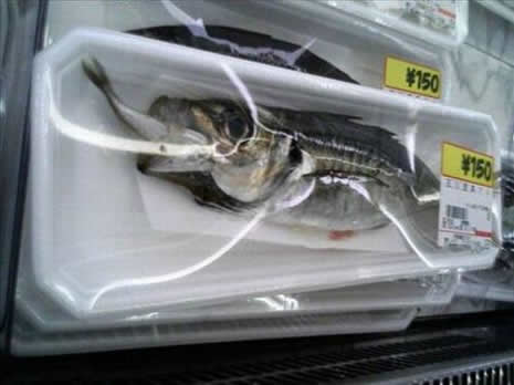 ŞAŞIRTAN FOTOĞRAFLAR galerisi resim 3