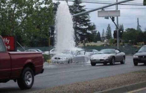 ŞAŞIRTAN FOTOĞRAFLAR galerisi resim 8