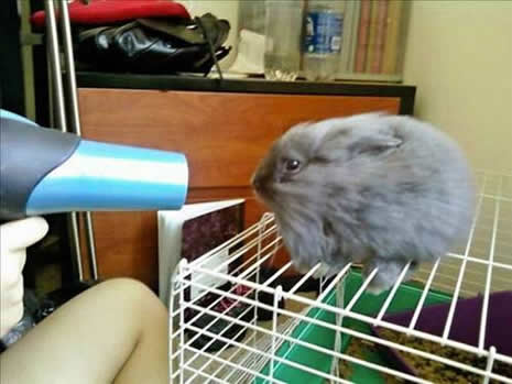 İLGİNÇ FOTOĞRAFLAR galerisi resim 11