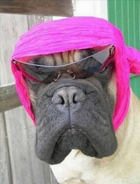 İLGİNÇ FOTOĞRAFLAR galerisi resim 12