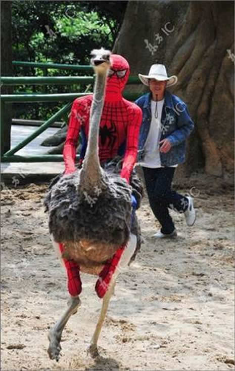 İLGİNÇ FOTOĞRAFLAR galerisi resim 25