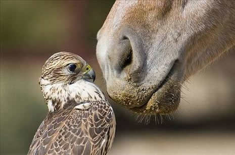 İLGİNÇ FOTOĞRAFLAR galerisi resim 5