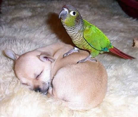 İLGİNÇ FOTOĞRAFLAR galerisi resim 8