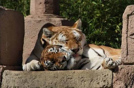 İLGİNÇ FOTOĞRAFLAR galerisi resim 9