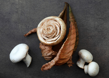 Bu da farklı bir sanat galerisi resim 19