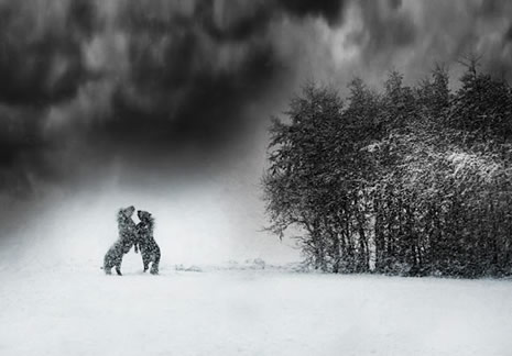 ilginç kavramsal fotoğraf örnekleri galerisi resim 16