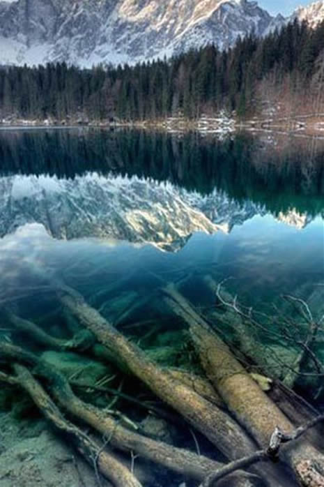 Ödüllü fotoğraflar galerisi resim 15