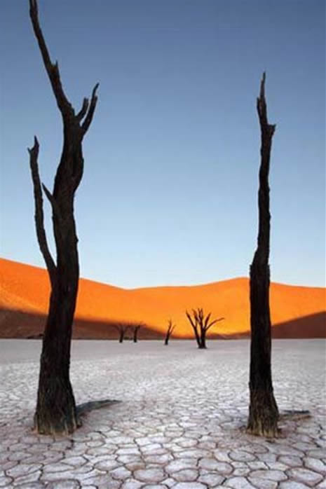 Ödüllü fotoğraflar galerisi resim 18