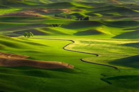 Ödüllü fotoğraflar galerisi resim 8