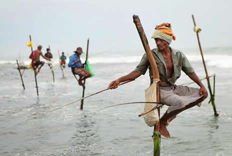 Akrobat balıkçılar galerisi resim 1