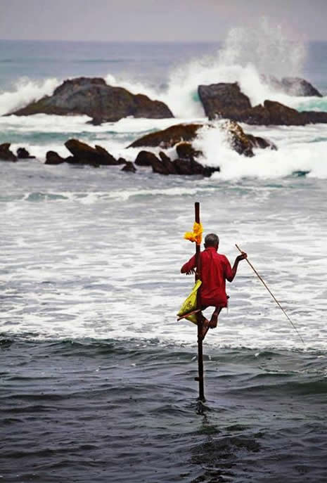 Akrobat balıkçılar galerisi resim 3