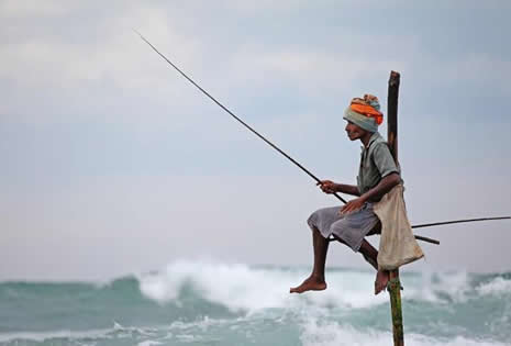 Akrobat balıkçılar galerisi resim 4