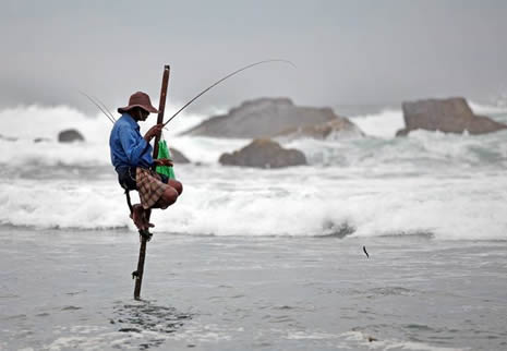 Akrobat balıkçılar galerisi resim 5