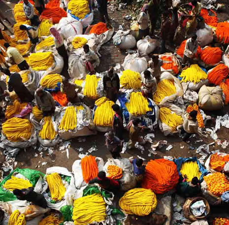 Yeni delhi galerisi resim 20