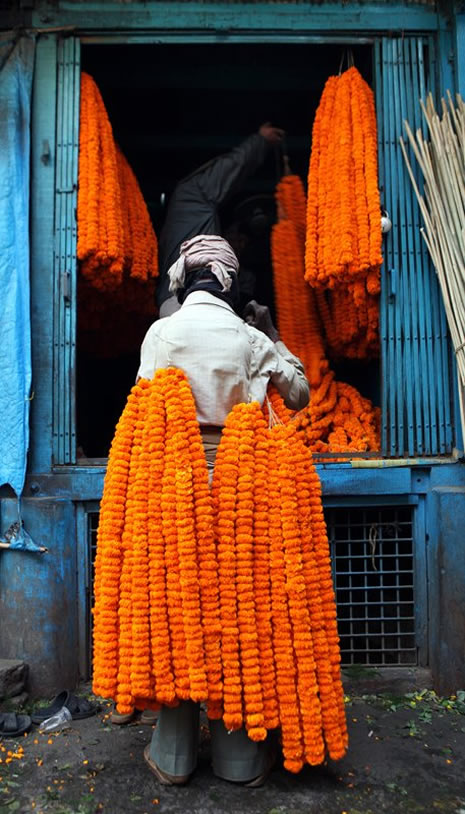 Yeni delhi galerisi resim 21