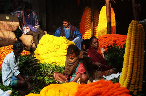 Yeni delhi galerisi resim 22