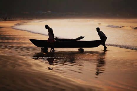 Yeni delhi galerisi resim 26