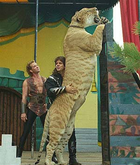 Dünyanın "EN"leri galerisi resim 14