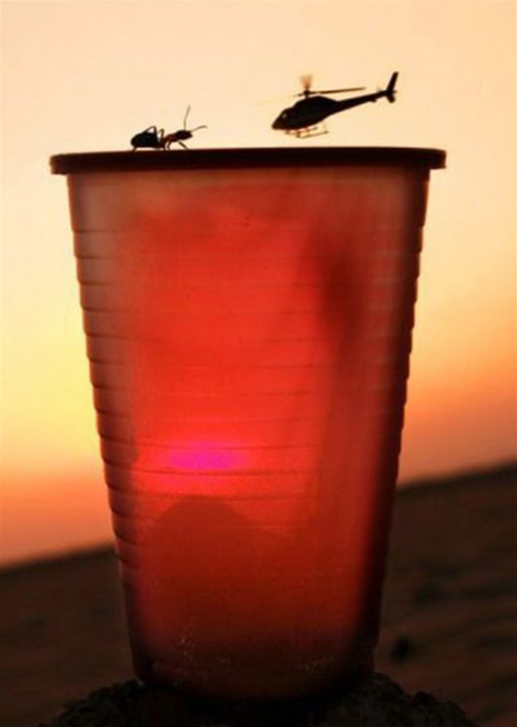 Fotoğrafta doğru açıyı yakalamak! galerisi resim 15