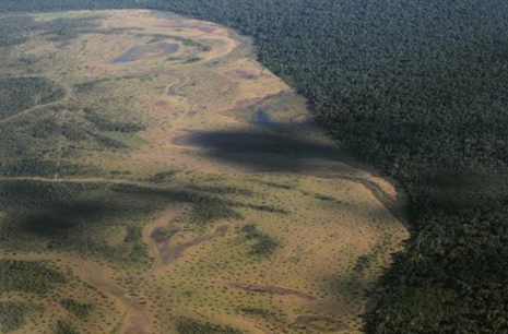 Yawalapiti kabilesi galerisi resim 2